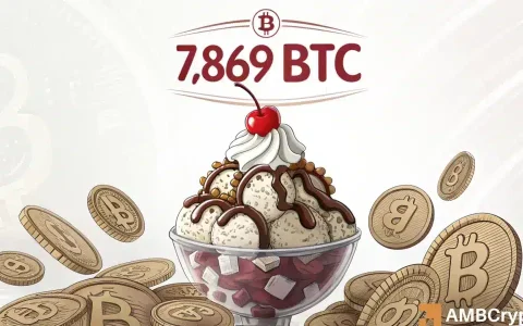美国现货比特币[BTC] ETF刚刚在一个月内记录了最大的单日流入 – 增加了7,869 BTC
