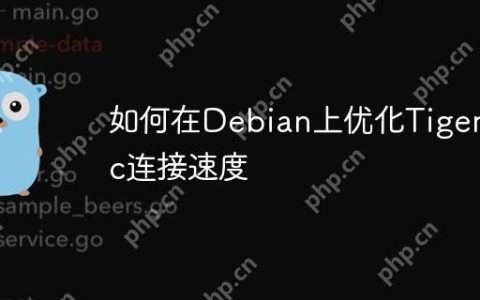 如何在Debian上优化Tigervnc连接速度