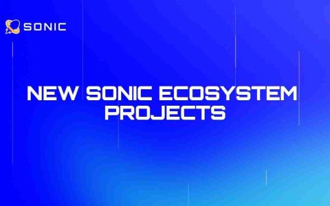 Sonic SVM揭示了Defi，NFT，Games和Meme Projects的强大生态系统