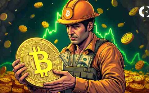 比特币（BTC）市场保持稳定，矿工收入不断增长，并交换流入指向不断增长的网络活动