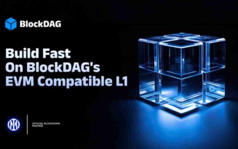BlockDag激活EVM兼容性，智能合约，NFTS和MetAmask现在活着