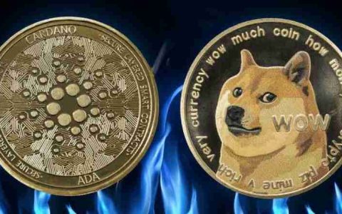 狗狗币(DOGE)和卡尔达诺(ADA)2025年6月预测 ADA 和狗狗币会迎来价格的大幅波动吗