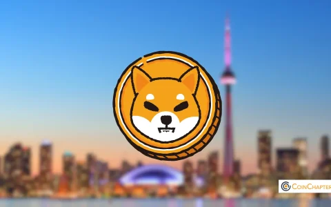 Shiba Inu（Shib/USD）在4小时的图表上创建降低的频道模式，目标是13％