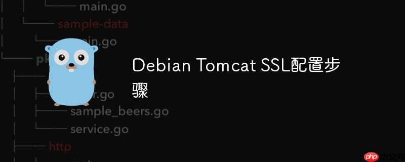 debian tomcat ssl配置步骤