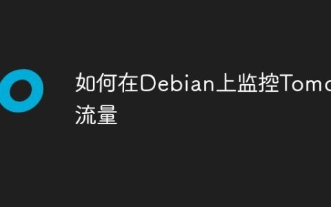 如何在Debian上监控Tomcat流量