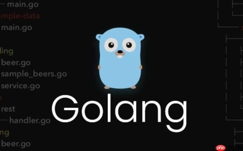 Go 语言中自定义类型与类型断言的常见错误及规避方法