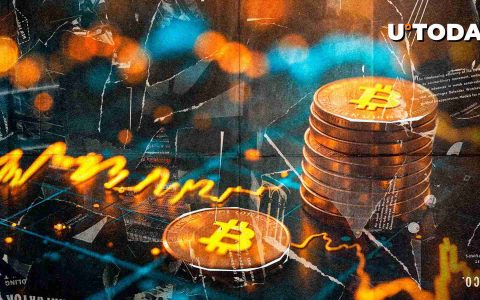 比特币鲸在不到一周的时间内积累了20,000 BTC，增加了对BTC的赌注
