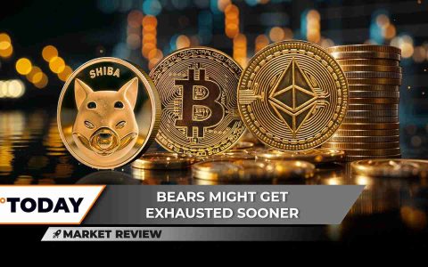 Shiba Inu（Shib）即将在其价格上添加另一个可怕的零