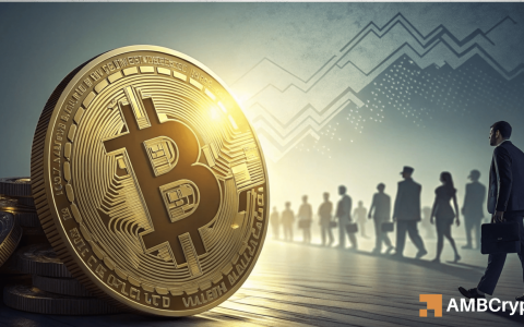 比特币[BTC]集会似乎正在成熟