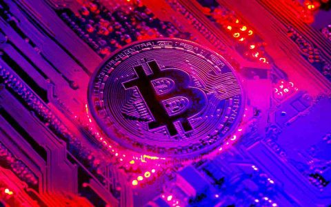 世界上最大的体育品牌之一是在比特币（BTC）上大放异彩。