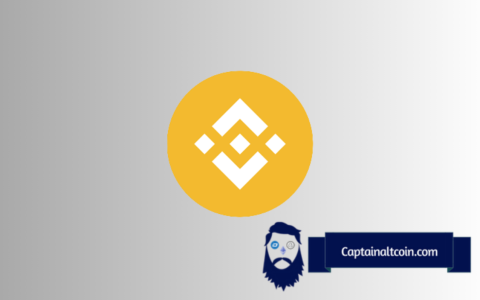 Binance Coin（BNB）价格预测：加密分析师揭示了本周期2000美元的“现实”目标