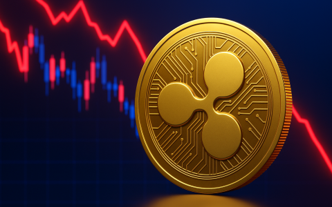 每日XRP图表就已经逐渐陷入了暂停动画状态，而公牛需要决定性的跟进