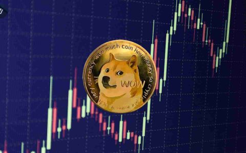 Dogecoin（Doge）价格预测：目标设定在$ 0.33至$ 0.432之间