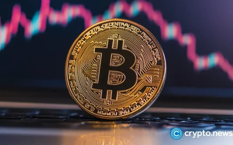 比特币（BTC）最近的回调火花辩论：看涨趋势仍然完好无损吗？
