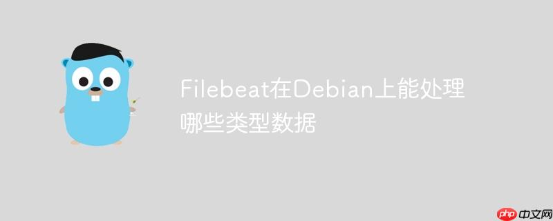 filebeat在debian上能处理哪些类型数据