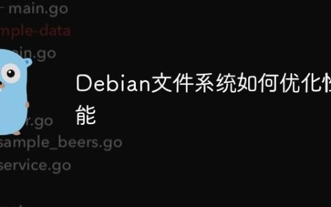 Debian文件系统如何优化性能