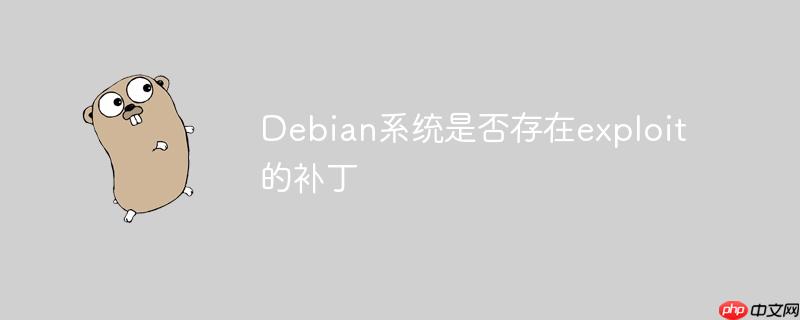 debian系统是否存在exploit的补丁