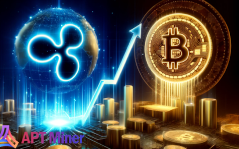 比特币打破了110,000美元的大关，引发了全球投资繁荣