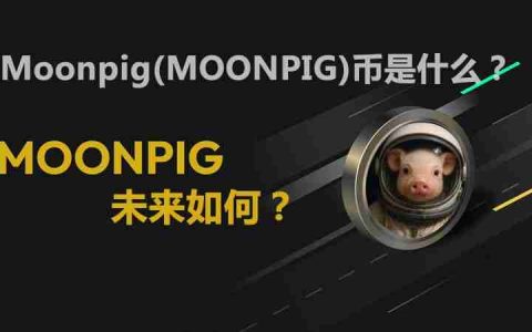 Moonpig(MOONPIG)币是什么？未来如何？MOONPIG价格预测