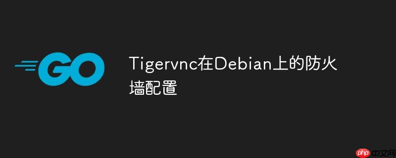 tigervnc在debian上的防火墙配置
