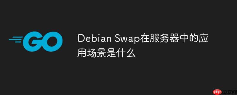 debian swap在服务器中的应用场景是什么