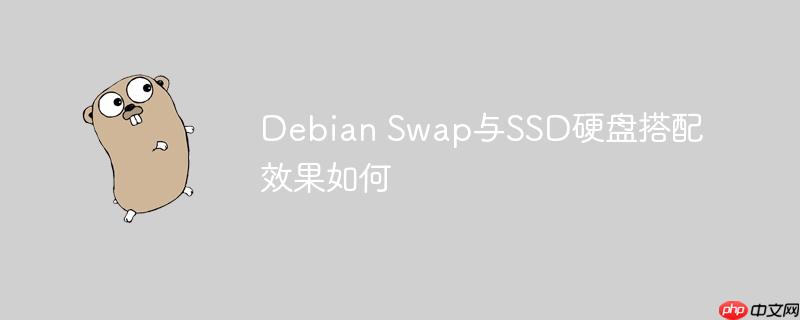 debian swap与ssd硬盘搭配效果如何