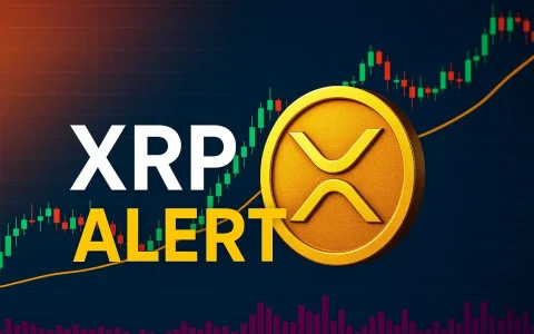 著名的加密分析师向XRP投资者发出严格警告