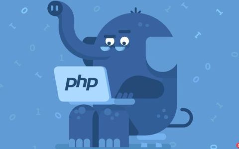 PHP中混合类型表示什么？