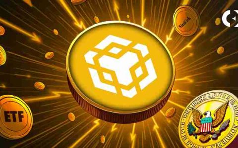 BNB社区成员正在建立兴奋