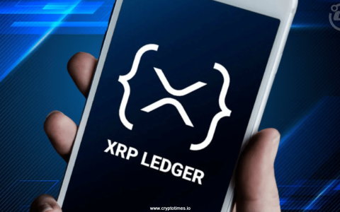 Realfi以$ 654.39T的音量要求将XRP Ledger置于焦点