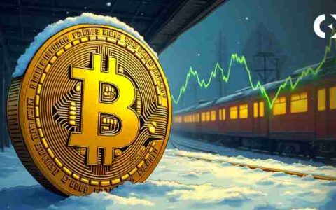 比特币（BTC）的价格行动表明，这可能不是牛市的终结