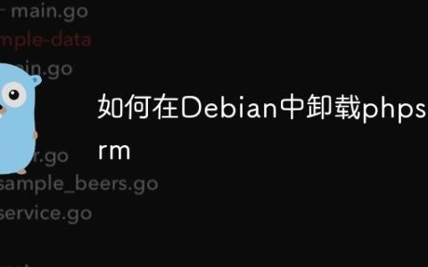如何在Debian中卸载phpstorm