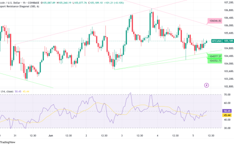 比特币（BTC）合并$ 105K，分析师眼睛关键$ 107.5K突破区域