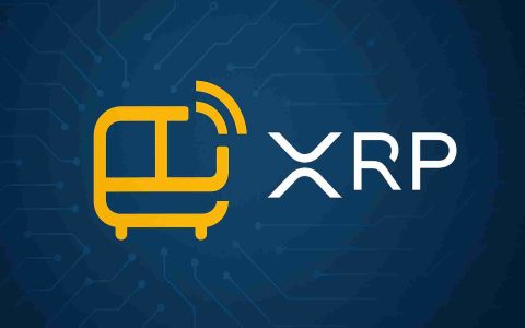Webus International有限公司将购买价值高达3亿美元的XRP来建立战略储备