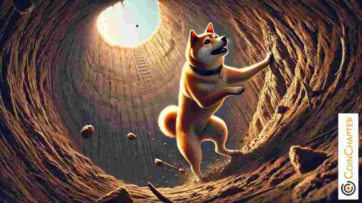 Dogecoin(Doge/USD)创建看跌旗模式,可能会下跌20%至$ 0.14952