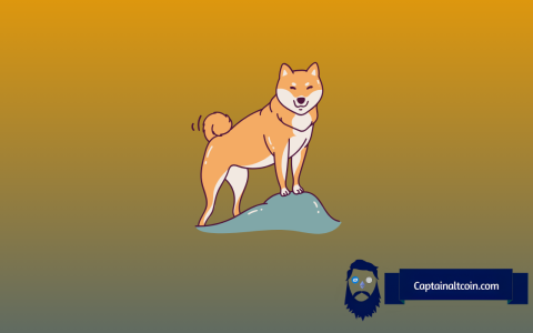 狗狗（Doge）价格可以上涨多高？该图表提供了线索
