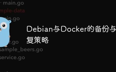 Debian与Docker的备份与恢复策略