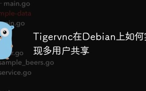 Tigervnc在Debian上如何实现多用户共享