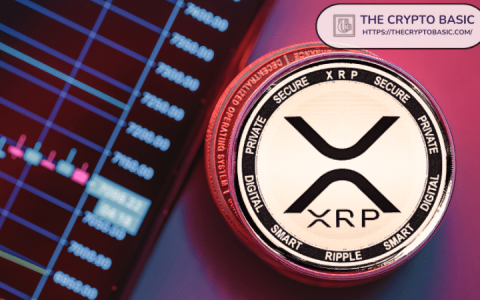 分析师斯蒂芬（Steph）表示，到2025年公牛周期结束时，有2,000个XRP令牌值得这么多