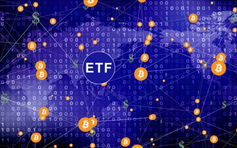 美国机构投资者的比特币ETF首次下降