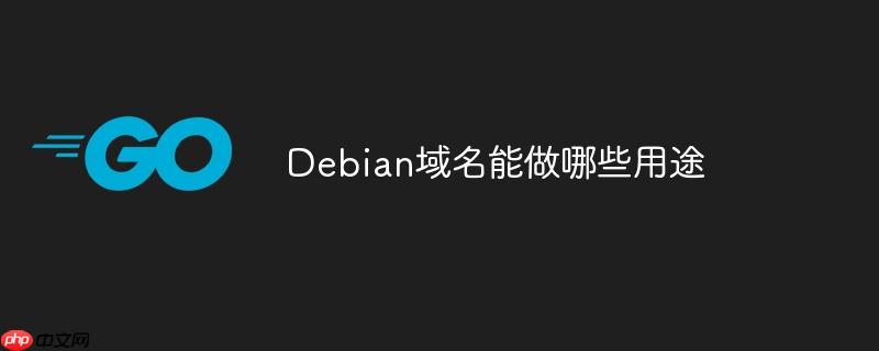 debian域名能做哪些用途