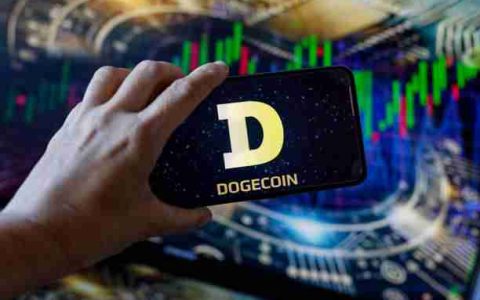 Dogecoin（Doge）的价格要发展看涨的分歧，到抛物线浪涌时就藏匿了