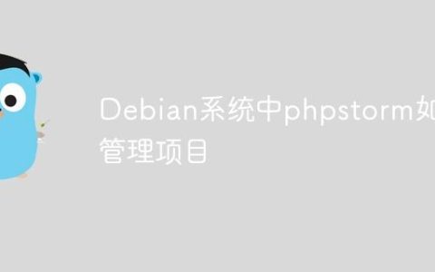 Debian系统中phpstorm如何管理项目