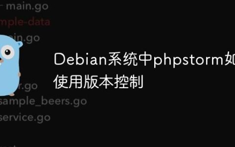 Debian系统中phpstorm如何使用版本控制