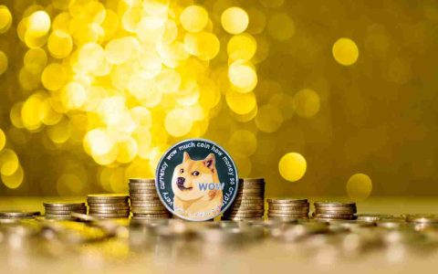 Dogecoin（Doge）价格预测：模因硬币即将见证爆炸