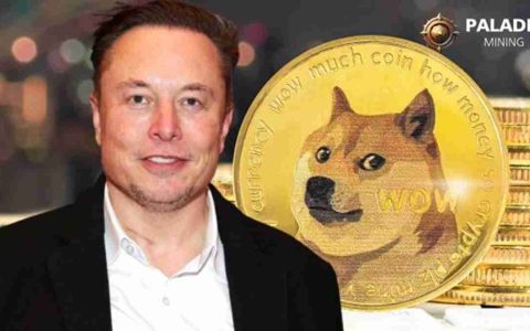 Dogecoin云采矿