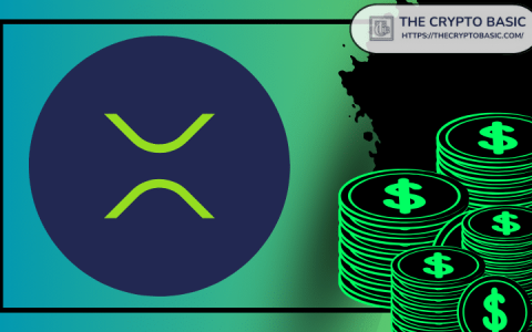 在十年末，每个人都会后悔今天不购买XRP，警告约翰·斯奎尔（John Squire）