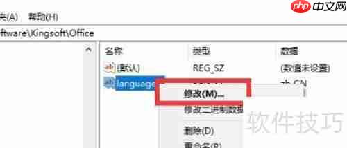 Writer中文版:名称与功能本地化探索