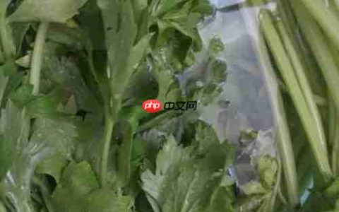 健美食谱：芹菜炒鸭肉的做法
