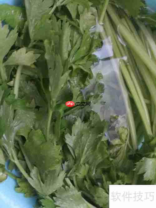健美食谱:芹菜炒鸭肉的做法
